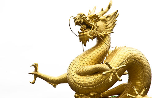 Service provider company logo