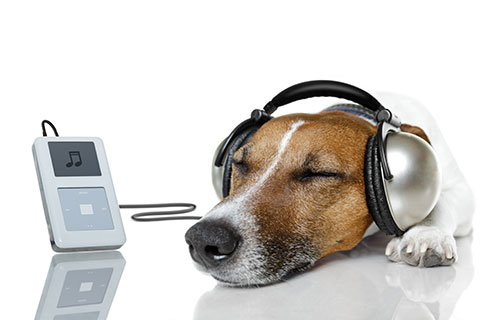 Generic business image for editors pick article feature