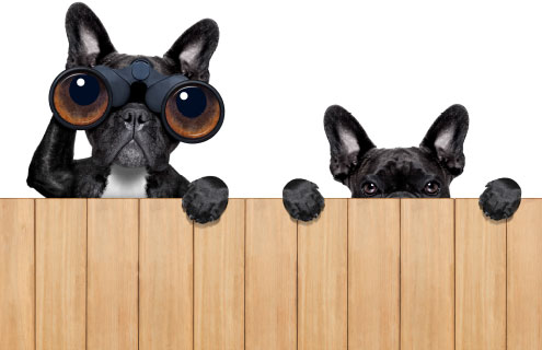 Generic business image for editors pick article feature