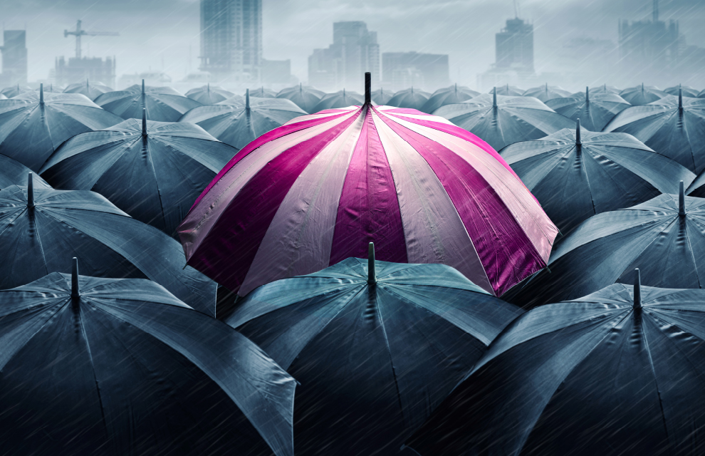 Generic business image for editors pick article feature